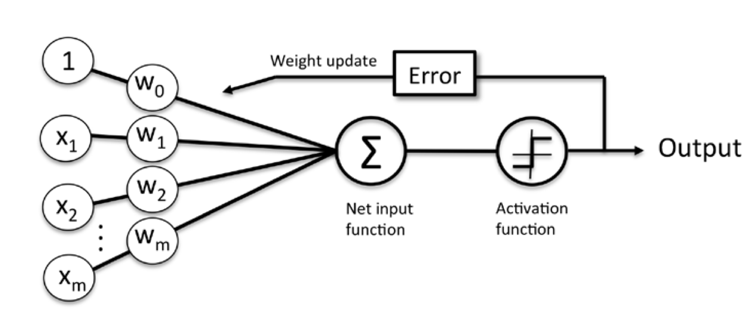 Perceptron